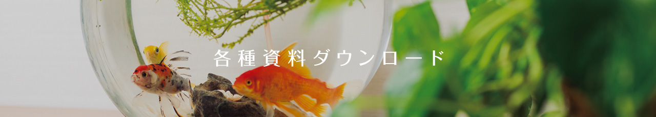 各種資料ダウンロード